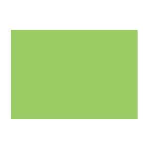  Tria Marker Color # G278   Green Shade