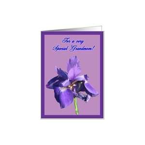  Grandmother Flower Birthday Purple Iris Floral Greeting 