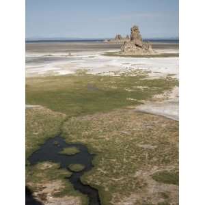  Desolate Landscape of Lac Abbe, Dotted with Limestone 