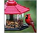 Hanging Gazebo Birdfeeder