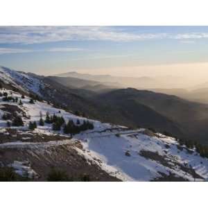  Shouf Cedar Nature Reserve, Lebanon Moutains, Lebanon 