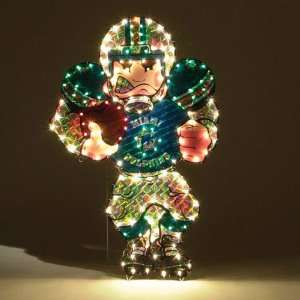  BSS   Miami Dolphins NFL Light Up Player Lawn Decoration 