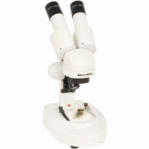 Stereo   Cordless Stereo Microscope with battery powered, 10x Eyepiece 