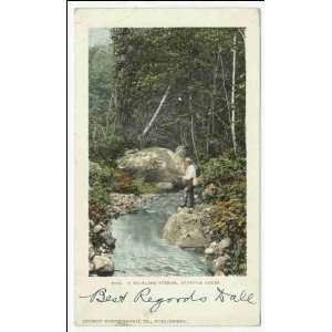   Highland Stream, Muskoka Lakes, Ont 1903 1904