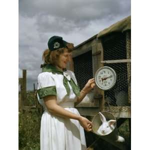  Woman Weighs a New Zealand White Rabbit That She Has 