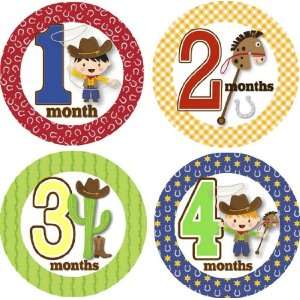  Ride Em Cowboy Monthly Baby Bodysuit Stickers Baby