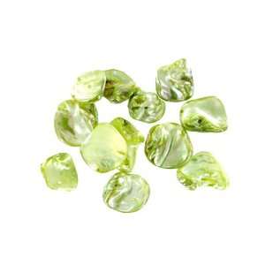18mm Green Organic Fw Shell Beads