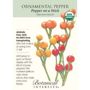  Pepper on a Stick Organic Ornamental Pepper Seeds 
