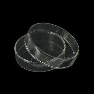  Petri Dish   60mm Glass
