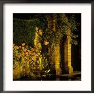 Garden Lighting, Fountain, Statue and Pool at Night Pelargonium King 