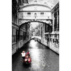 Venice, Italy Bridge of Sighs Scenic Black & White Poster Poster Print 