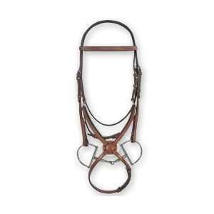  Rodrigo Figure 8 Bridle