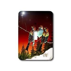 Edmond Hogge Jr Birds   A Star is Born   Light Switch Covers   single 