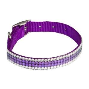  Swarovski Crystal Dog Collar Purple Clear 14 Pet 