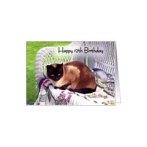   12th Birthday, Siamese cat on white wicker chair Card Toys & Games
